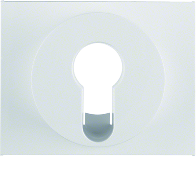K.1 Central element for snow-white key switch