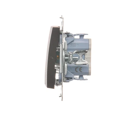 Kerzenschalter für die 230V-Version (Modul), mattbronzemetallic
