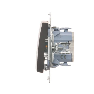 Kerzenschalter mit LED-Hintergrundbeleuchtung und für die 230V-Version (Modul), mattbronzemetallic