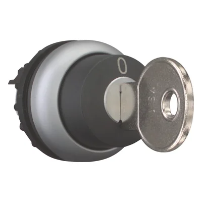 Key-operated switch actuator 2 positions, M22-WRS-A1