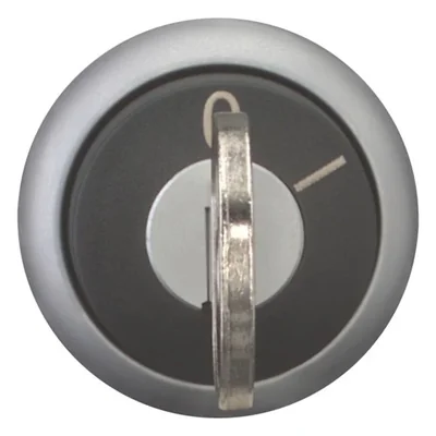 Key switch actuator 2 positions, M22-WS-MS*