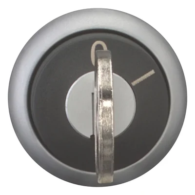 Key switch actuator 2 positions, M22-WS-MS*