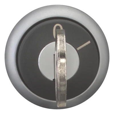 Key switch actuator 2 positions, M22-WS-MS*