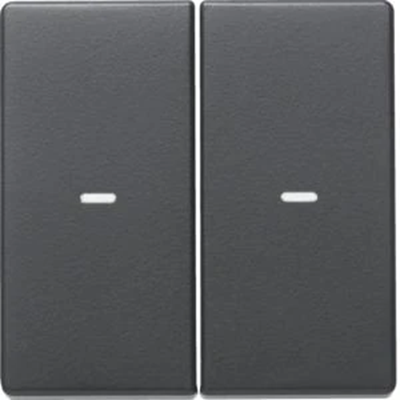 KNX EASY Q.1/Q.3 Bascules avec cabochon pour module poussoir double velours anthracite