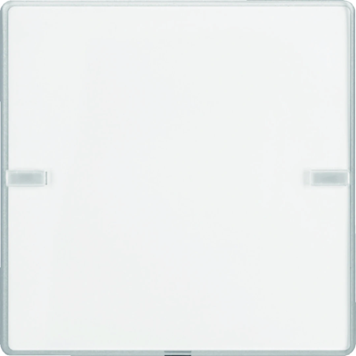 KNX e/s Q.x Przycisk 1-krotny z polem opisowym, alu
