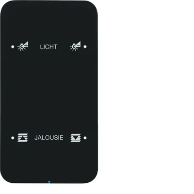 KNX SYSTEM R.1 Сенсорний сенсор, 2-кратне конфігуроване скло, чорне