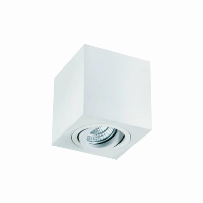 Lago Bianco White ceiling lamp