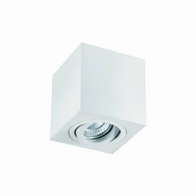 Lago Bianco White ceiling lamp