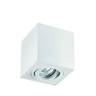 Lago Bianco White ceiling lamp