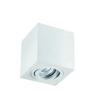 Lago Bianco White ceiling lamp