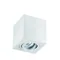 Lago Bianco White ceiling lamp