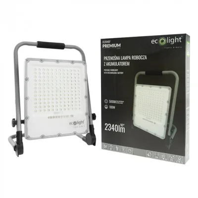 Lampada da lavoro a LED con batteria, 100W, 5000K