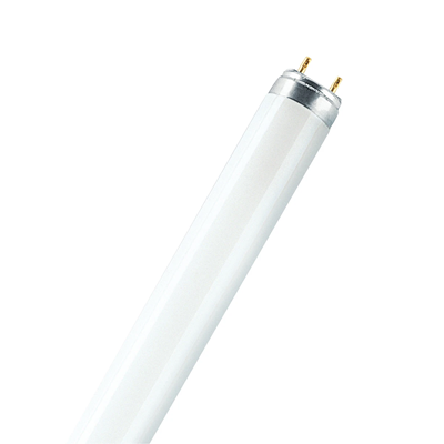 Lampada fluorescente lineare non integrata 18W G13 1300lm CW