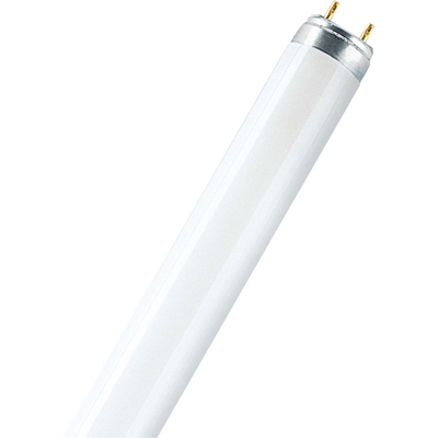 Lampada fluorescente lineare non integrata 30W G13 2400lm WW