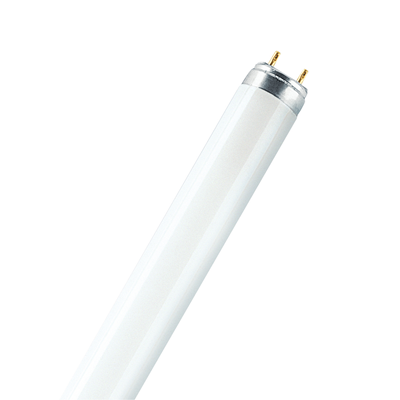 Lampada fluorescente lineare non integrata 36W G13 3350lm WW