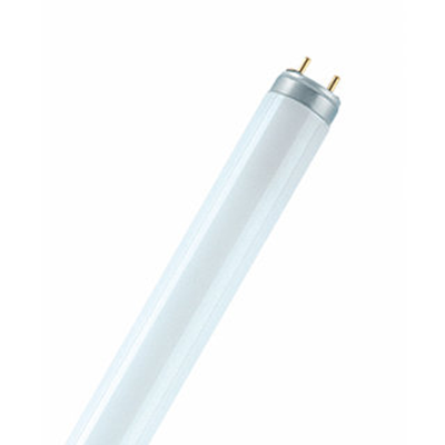 Lampada fluorescente lineare non integrata 38W G13 3300lm NW