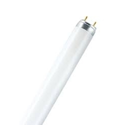 Lampada fluorescente lineare non integrata Interna L 58W G13 5200lm WW