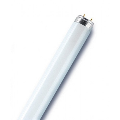 Lampada fluorescente lineare non integrata Lumilux FH 28W G5 230V 2600lm WW