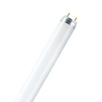 Lampada fluorescente lineare non integrata Lumilux L 36W G13 3100lm WW