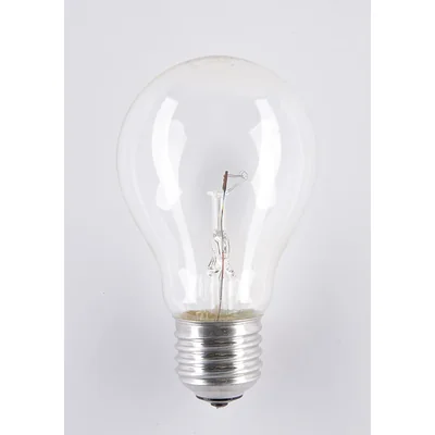 Lampadina ad alta temperatura soleo 40W A55 E27 24V