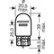 Lampadina per auto LINEA ORIGINALE 12V 7515