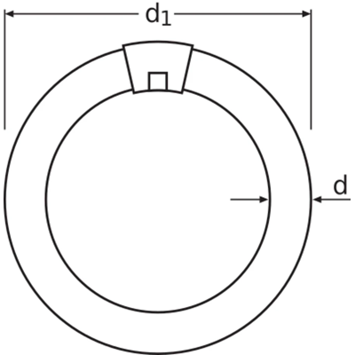 Lámpara fluorescente circular no integrada 22W G10q 62V 1300lm CW