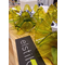 Lampe de bureau LED vert Flamenca