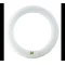 Lampe fluorescente circulaire 32W G10q 2375lm NW