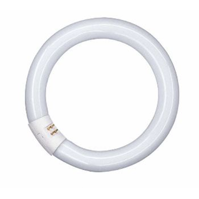 Lampe fluorescente circulaire non intégrée 32W G10Q 84V 2250lm WW