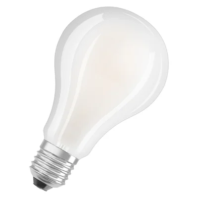Lampe LED STAR CLASSIC A 24W 840 givrée E27