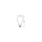 Lampe LED STAR CLASSIC A 24W 840 givrée E27