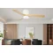 LED ceiling fan METAL+WOOD 53W 18W+35W 1350LM 25m2 CCT 43dB