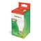 LED GLS E-27 230V 20W PREMIUM WW A65 SPETTRO