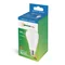 LED GLS E27 230V 15W CW SPECTRUM
