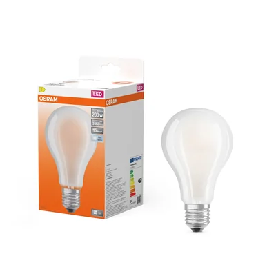 LED-Lampe STAR CLASSIC A 24W 840 Mattiert E27