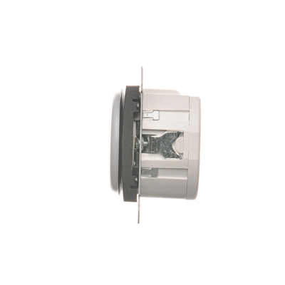 LED light indicator white light (module)