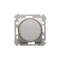 LED light indicator white light (module)
