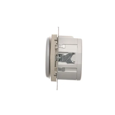 LED light indicator white light (module)