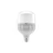 LED LIGHT SOURCE, A-G, F100, 4000K, 27.0W, E27, AC180-250V, 200°, 2900lm, 131mA