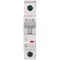 Leistungsschalter HN-C10/1 10A 1P 6kA C 230V IP20 Typ AC