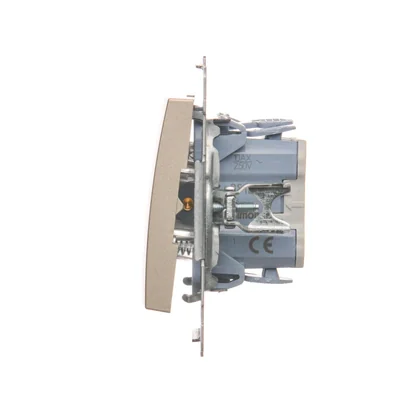 „Licht“-Taste mit LED-Hintergrundbeleuchtung (Modul) 10A 230V goldene (metallische) Schnellanschlüsse