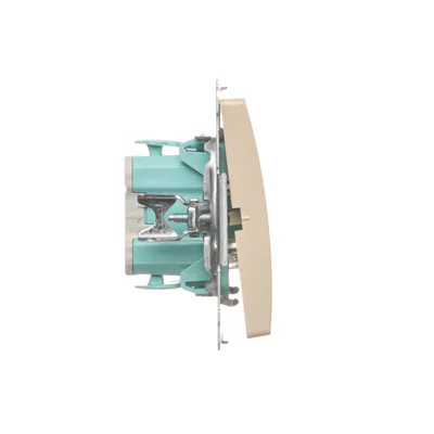 Light button (module) 10A 250V beige screw terminals