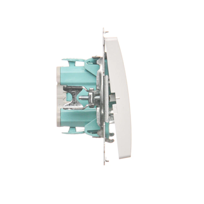 Light button (module) 10A 250V white screw terminals