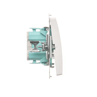 Light button (module) 10A 250V white screw terminals