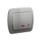 "Light" button with backlight 230V, metallic silver