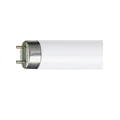 Linear fluorescent lamp 36W, 103V, G13