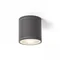 Lizzi Lampada da soffitto antracite