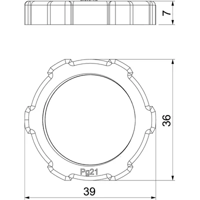 Locknut 116 PG21, TW.SZ