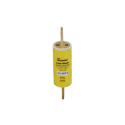 LPJ-100SP 100A 600VAC/300V, Class J T/D