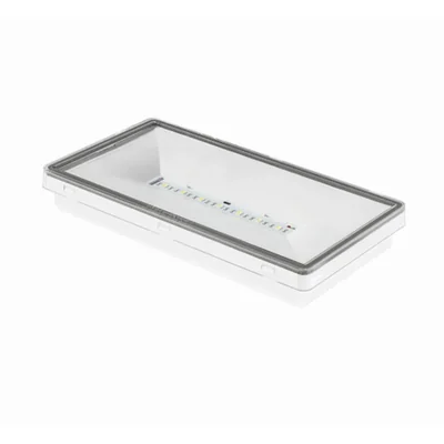 Luminaire de secours anti-panique 150lm 3H 2.5W 230V IP65